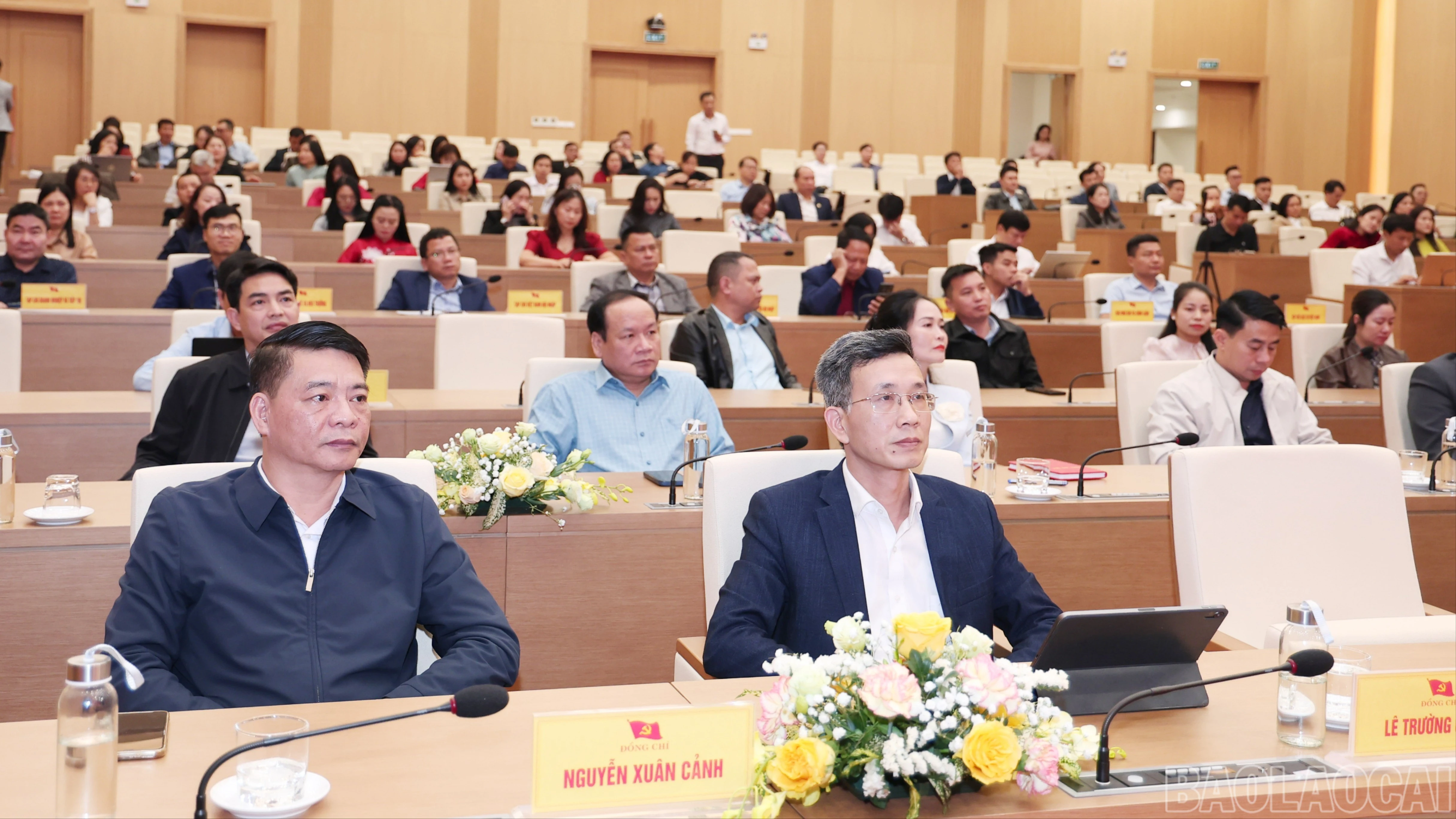 baolaocai-br_img-9726-5704.jpg