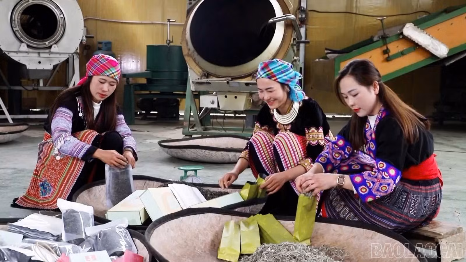 Chuyển dịch cơ cấu lao động đang diễn ra tại nhiều địa phương trong tỉnh giúp người dân nâng cao thu nhập.