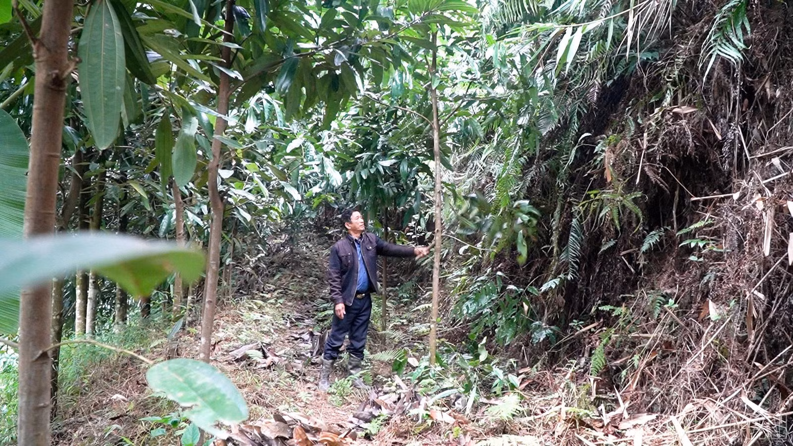 baolaocai-br_z7392647415627-692db443ec6e174f495b454a5aa51b2a.jpg