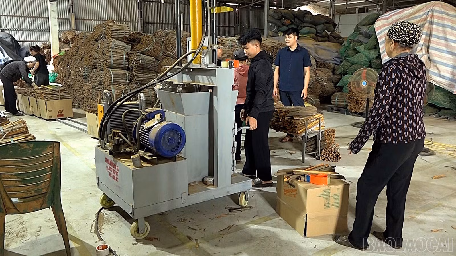 baolaocai-br_lk103370-xa-mau-a-voi-nhieu-giai-phap-phat-trien-kinh-te-tu-nhan-kinh-te-tap-the-hd00-01-56-20still001.jpg
