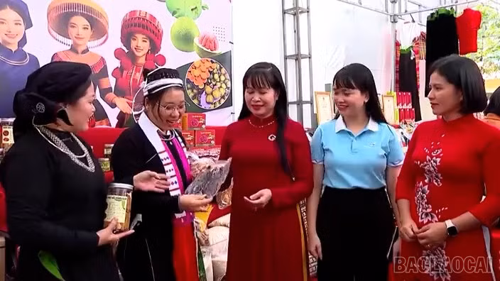 baolaocai-br_btcds9-ban-tin-chuyen-dong-so-phat-song-ngay-11-10-hd00-04-08-20still003.jpg