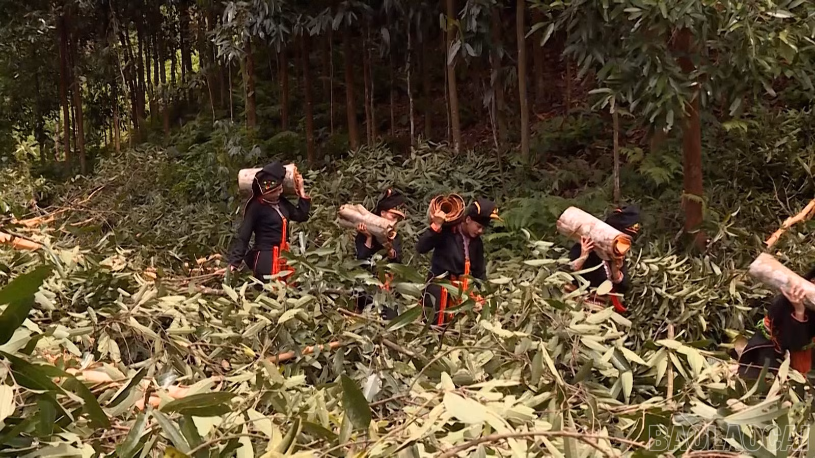 baolaocai-br_clip-xa-sua00-09-33-34still008.jpg