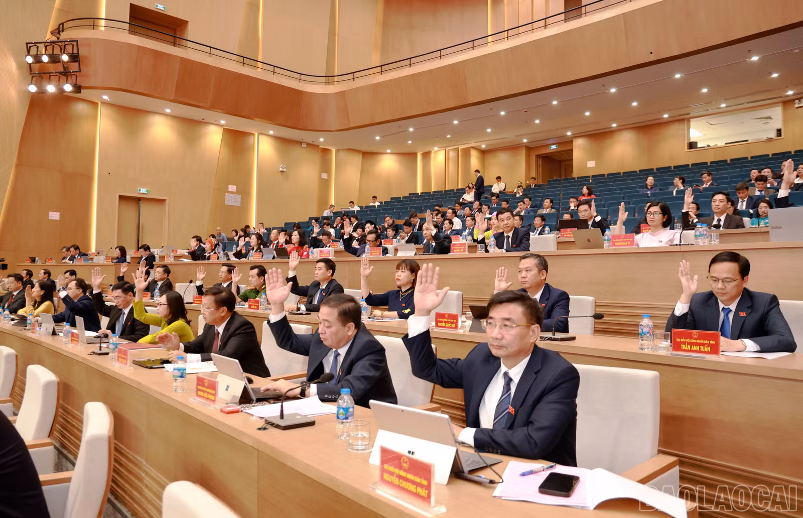 baolaocai-br_060a9413-copy.jpg