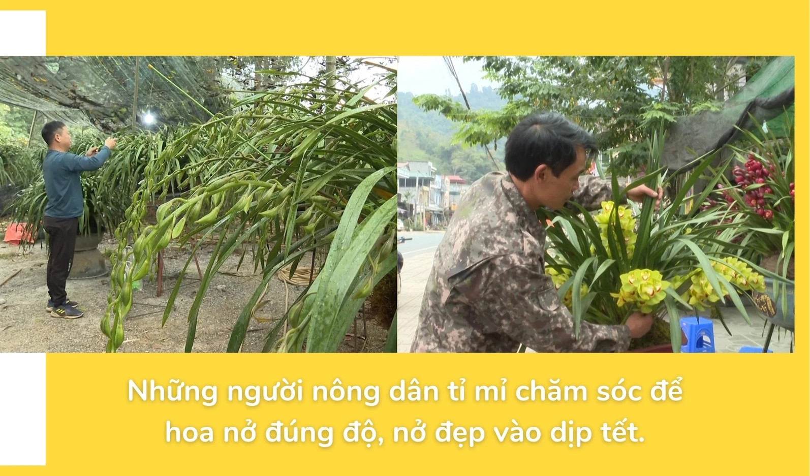 66.jpg