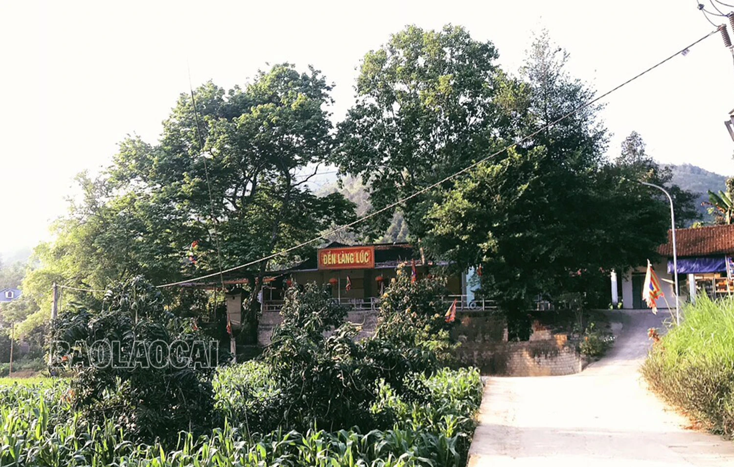 lang-luc-1.jpg