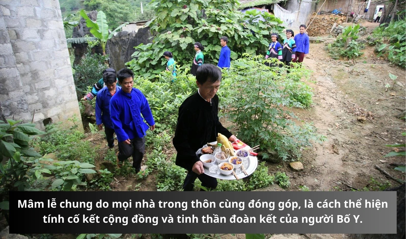 48.jpg