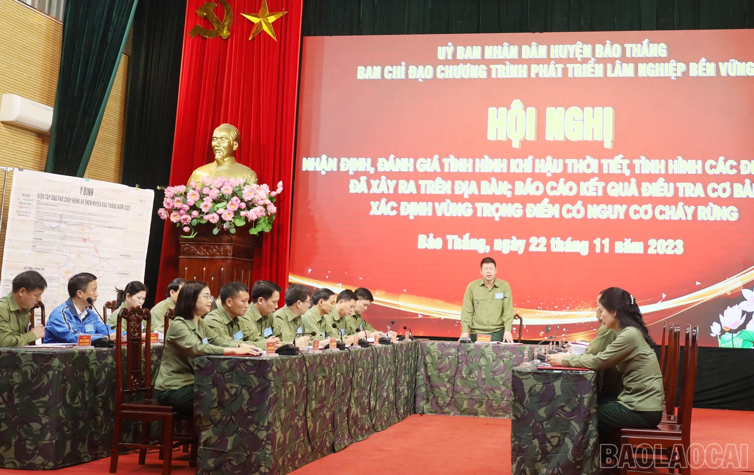 baolaocai_a.jpg