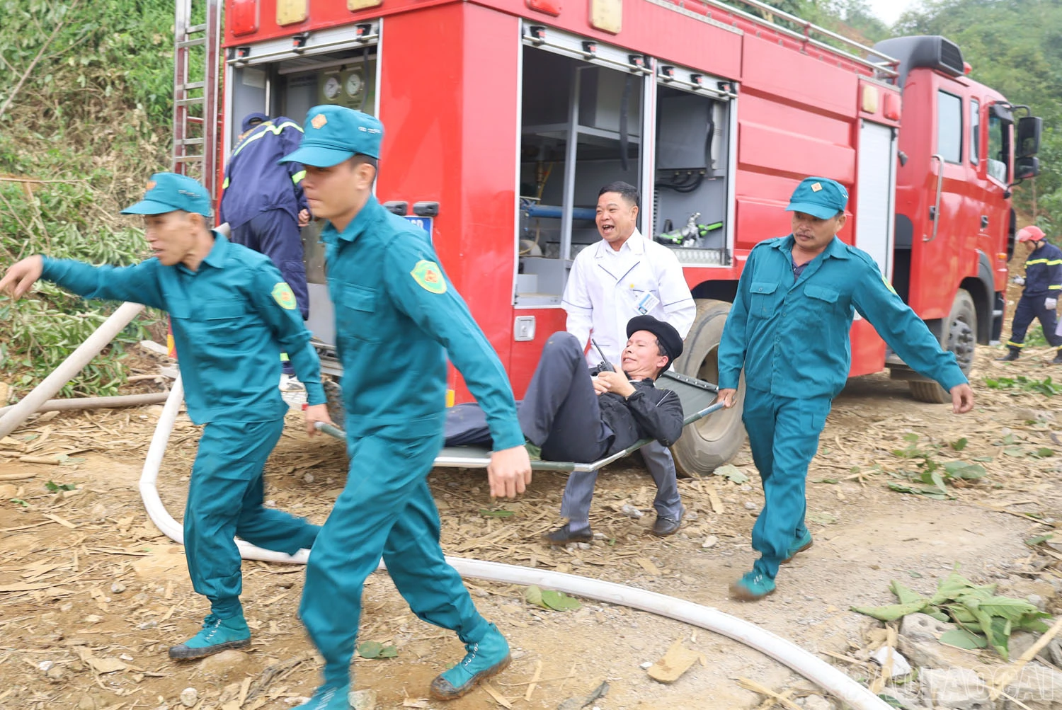 baolaocai_11.jpg
