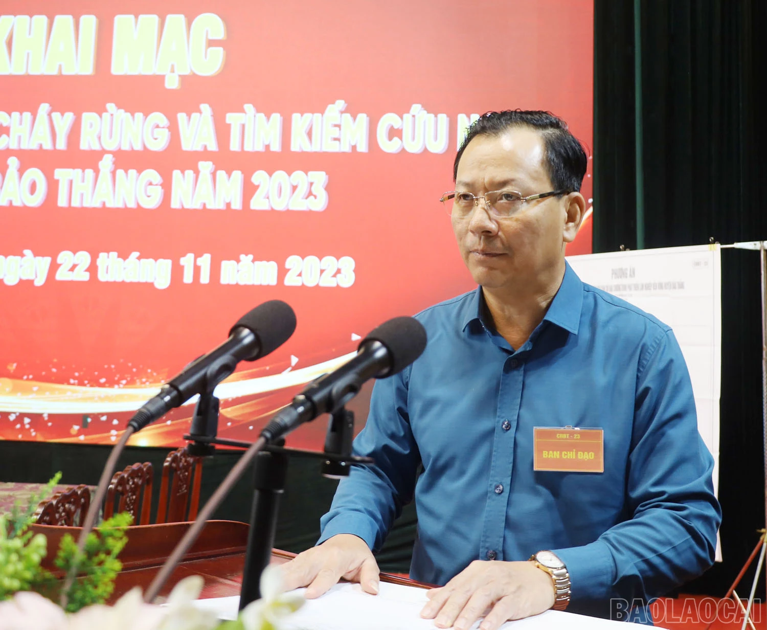 baolaocai_7a.jpg
