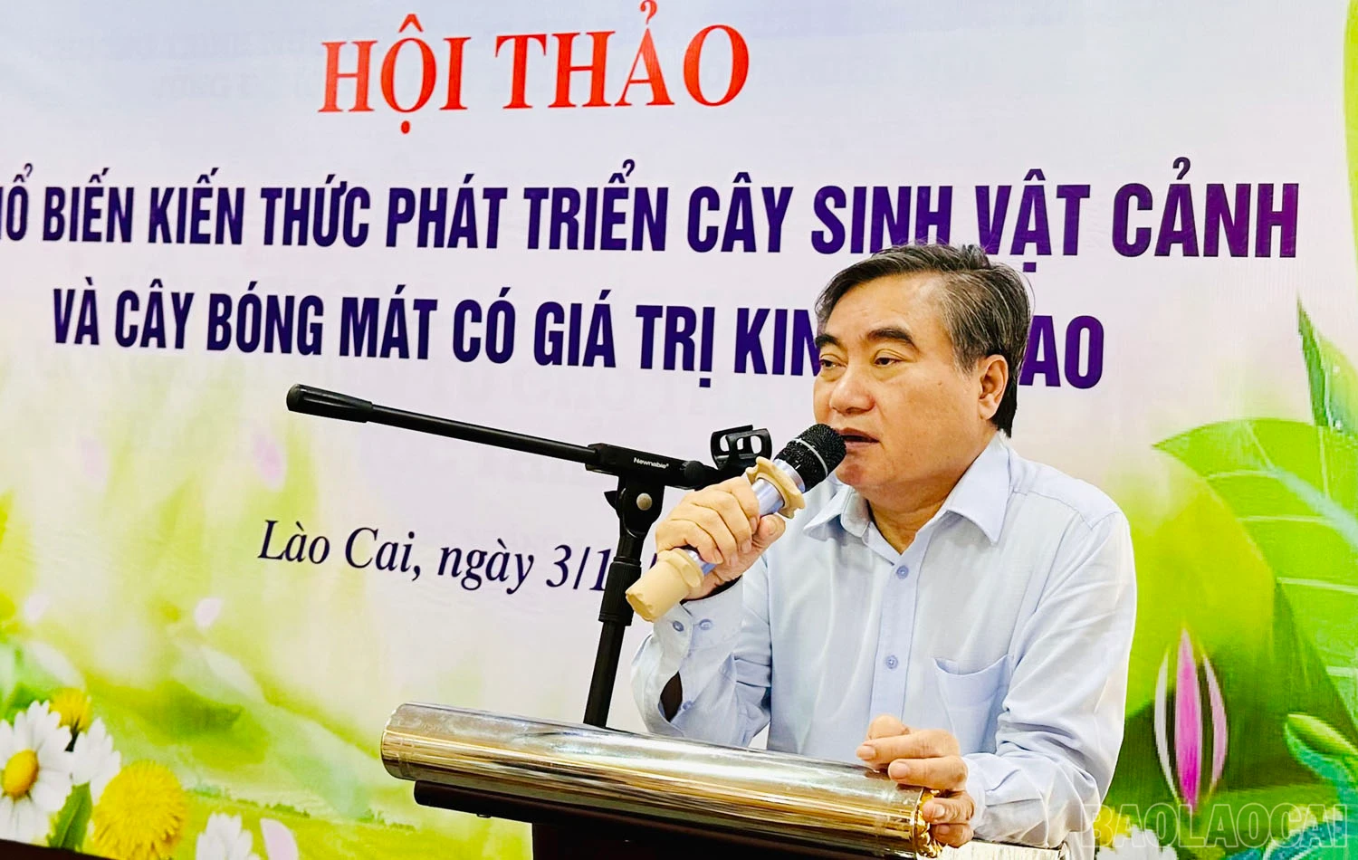 baolaocai_4.jpg