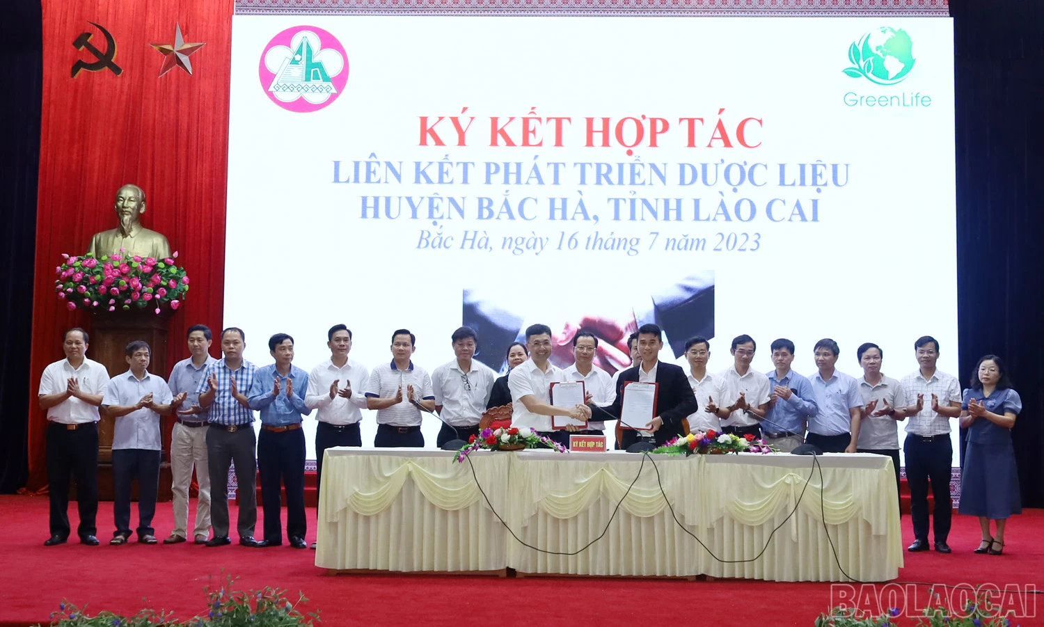 baolaocai_6.jpg