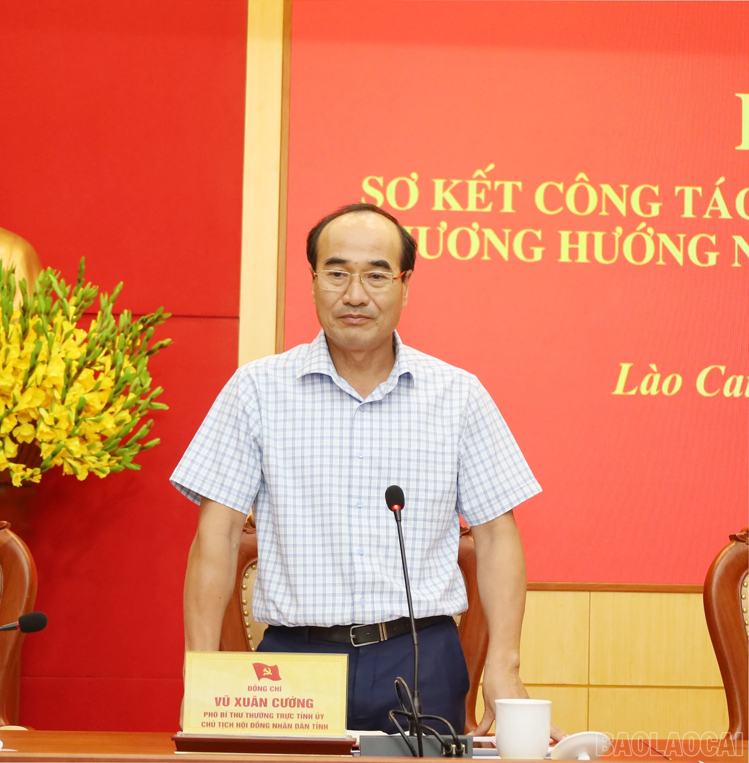 baolaocai_11.jpg