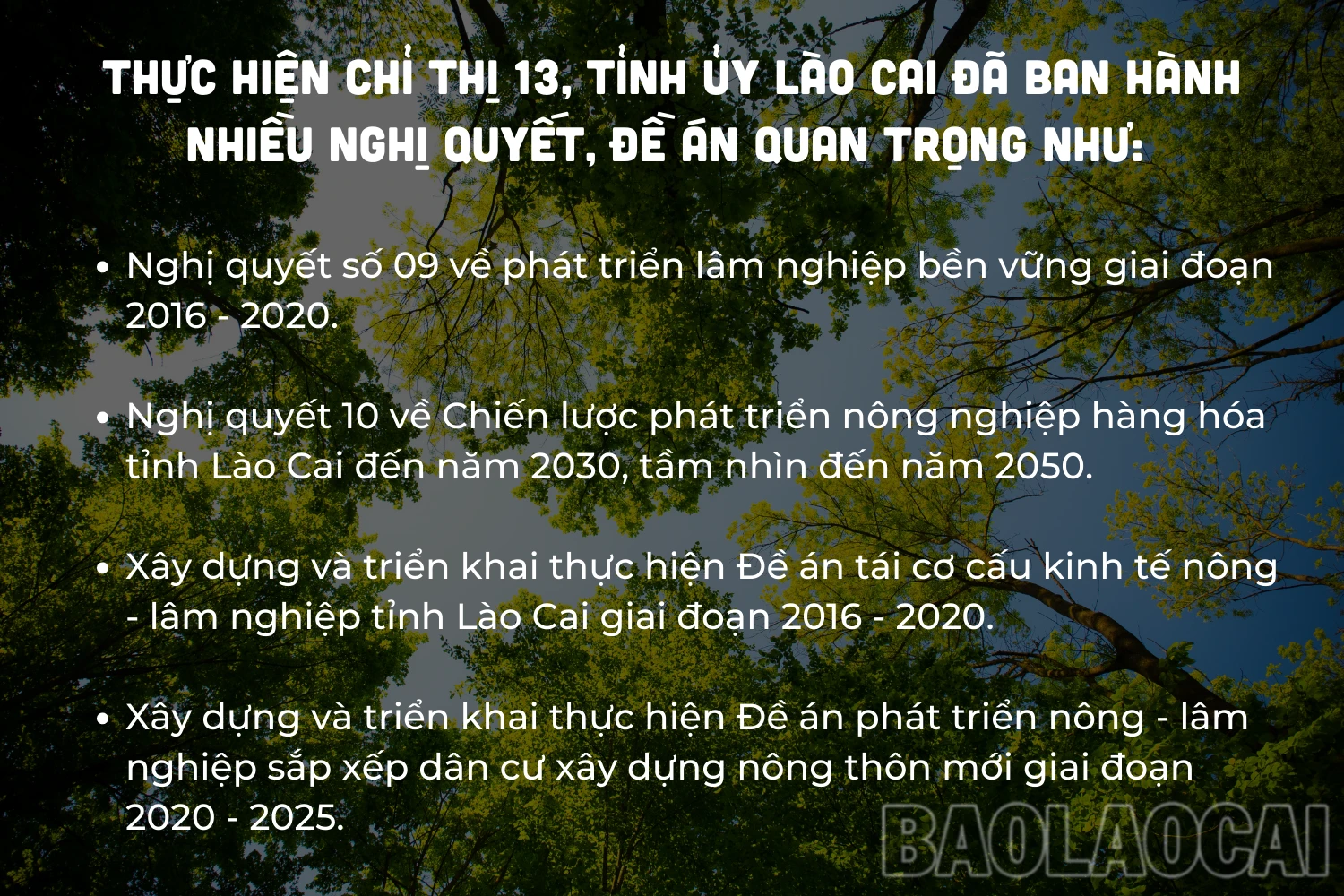 Chỉ thị 13-CTTW Tác động mạnh đến công tác quản lý, bảo vệ và phát triển rừng.png