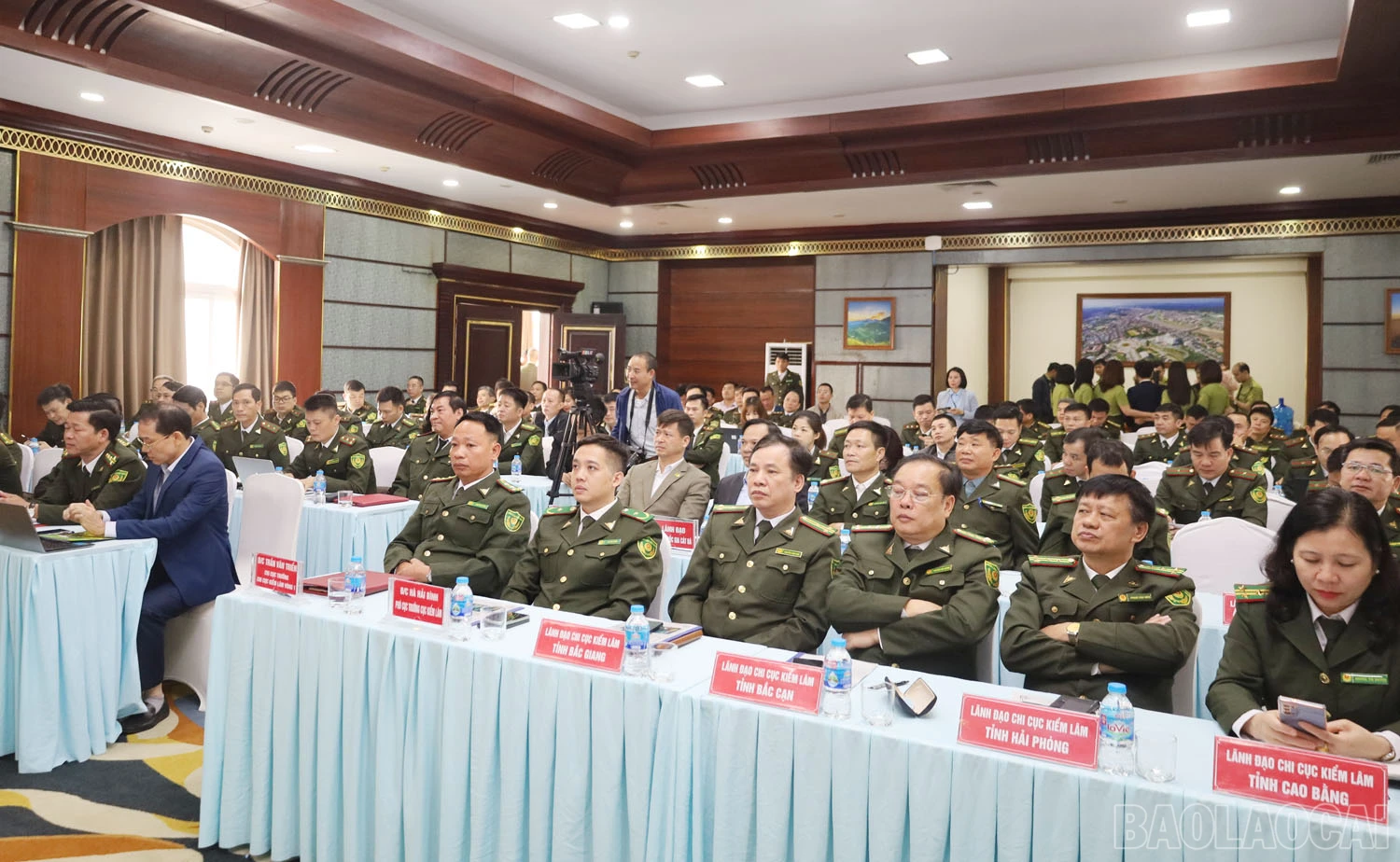 baolaocai_1a.jpg