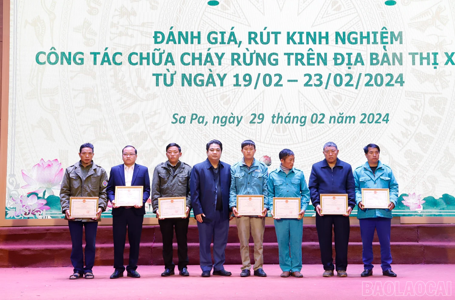 baolaocai_b.jpg