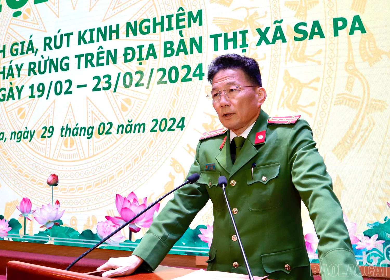 baolaocai_5.jpg