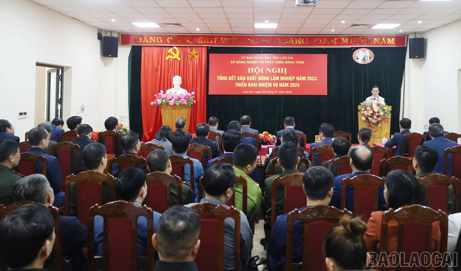 baolaocai-1-3729.jpg