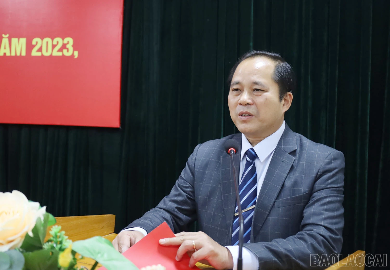 baolaocai-3-3040.jpg