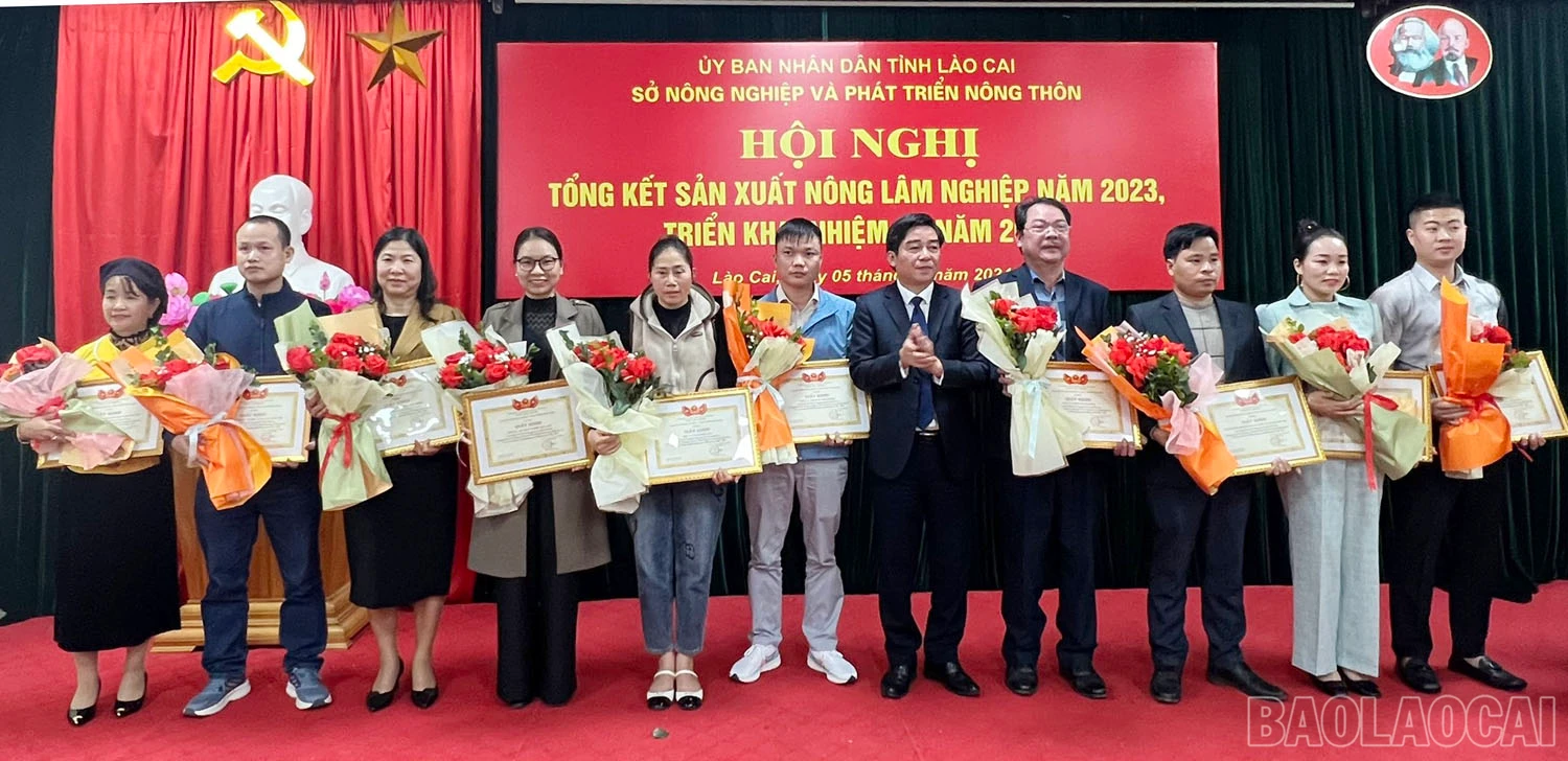 baolaocai-8jpg-8267.jpg
