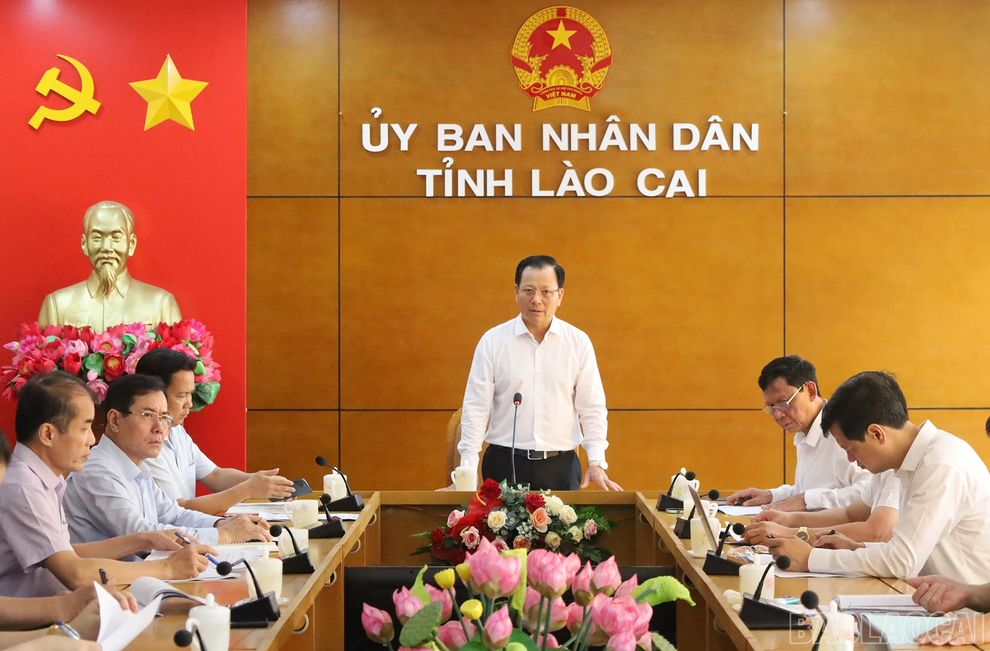 baolaocai_2.jpg