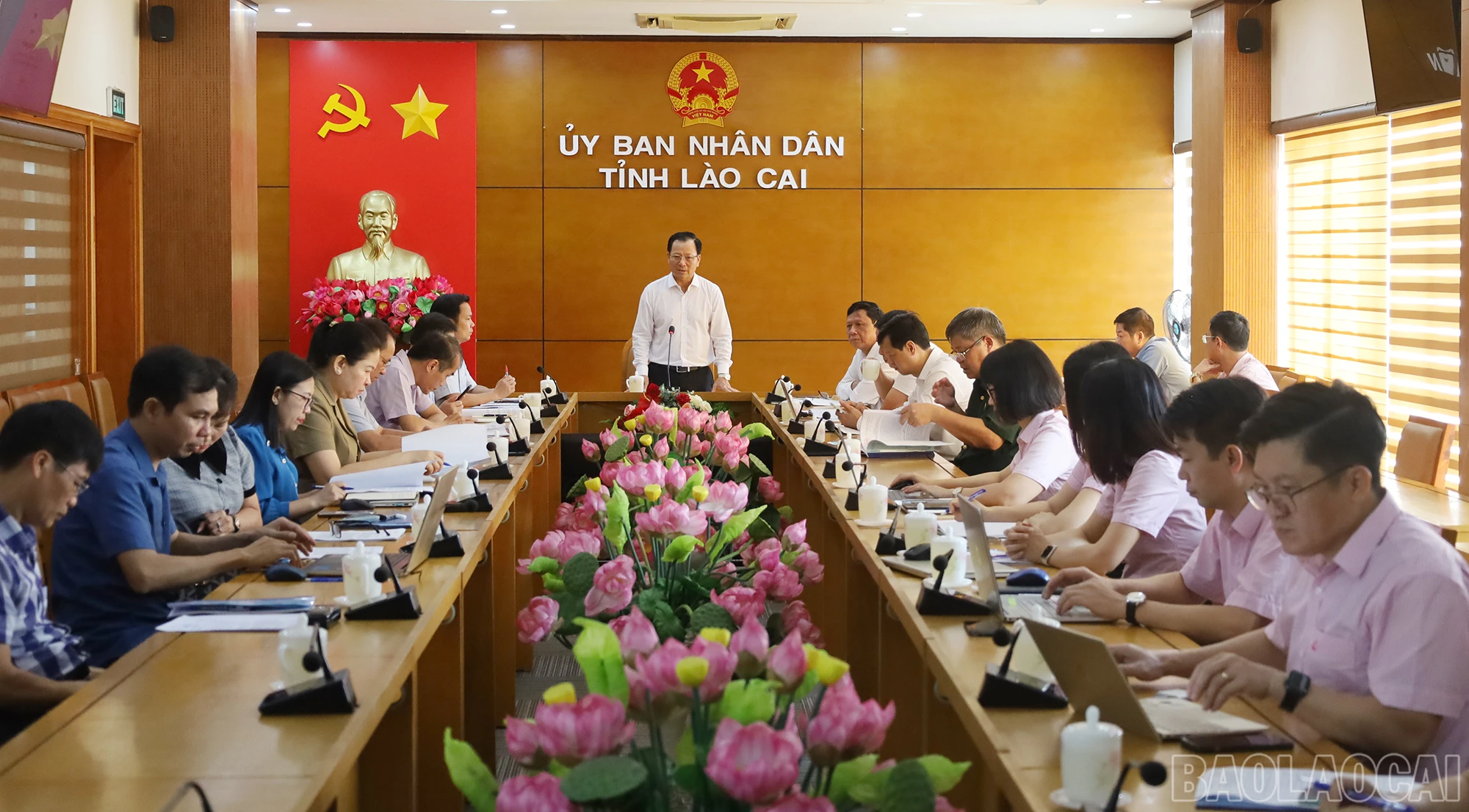baolaocai_1.jpg