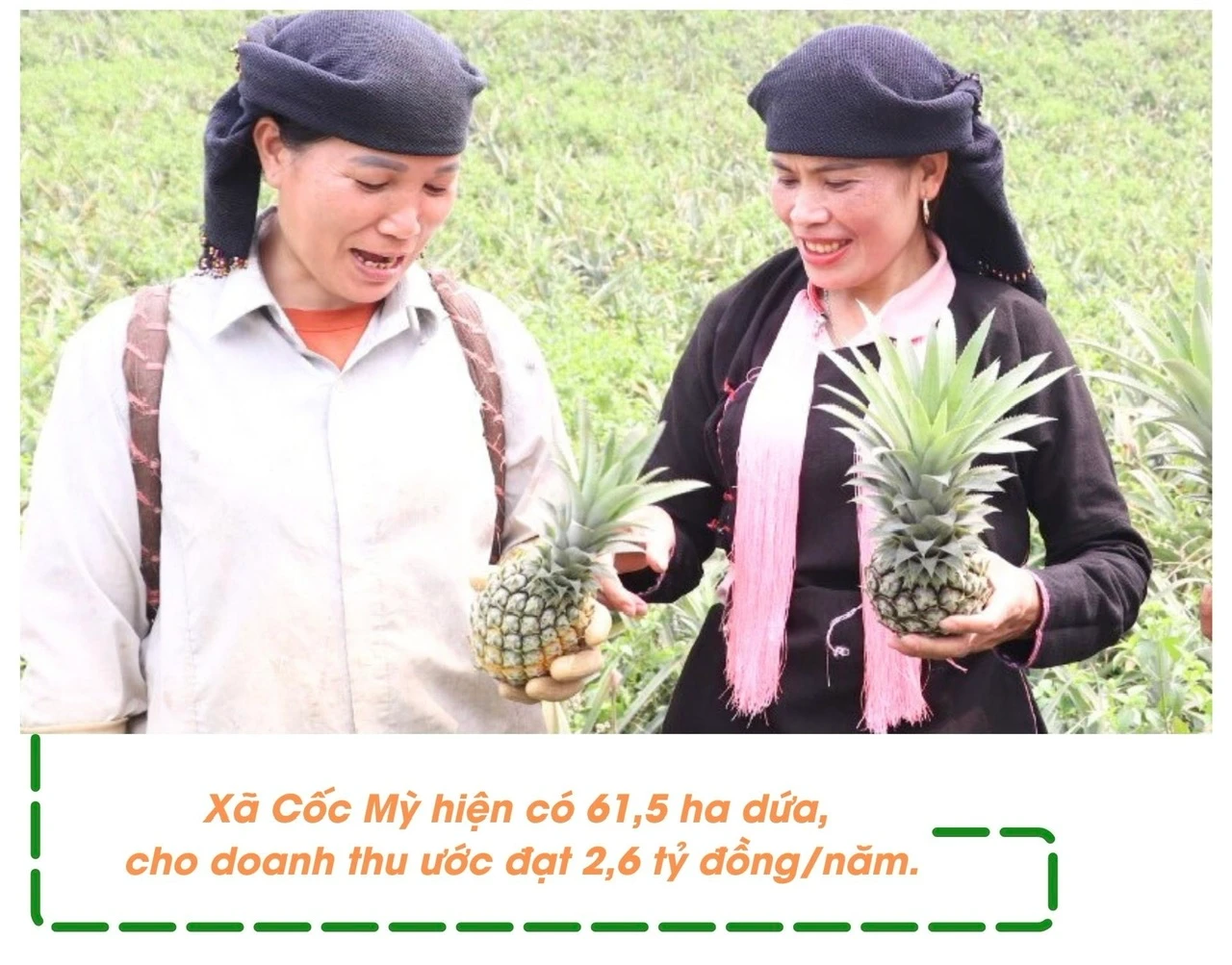 a4.jpg