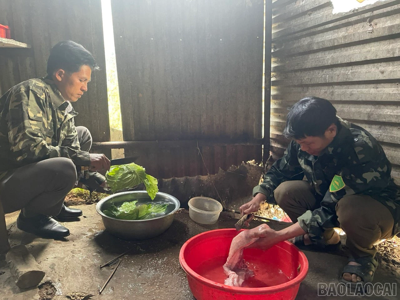 baolaocai_1.jpg
