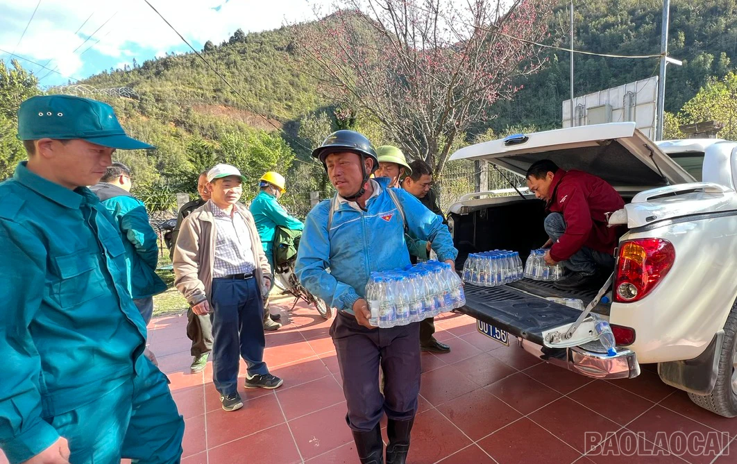 baolaocai_4.jpg