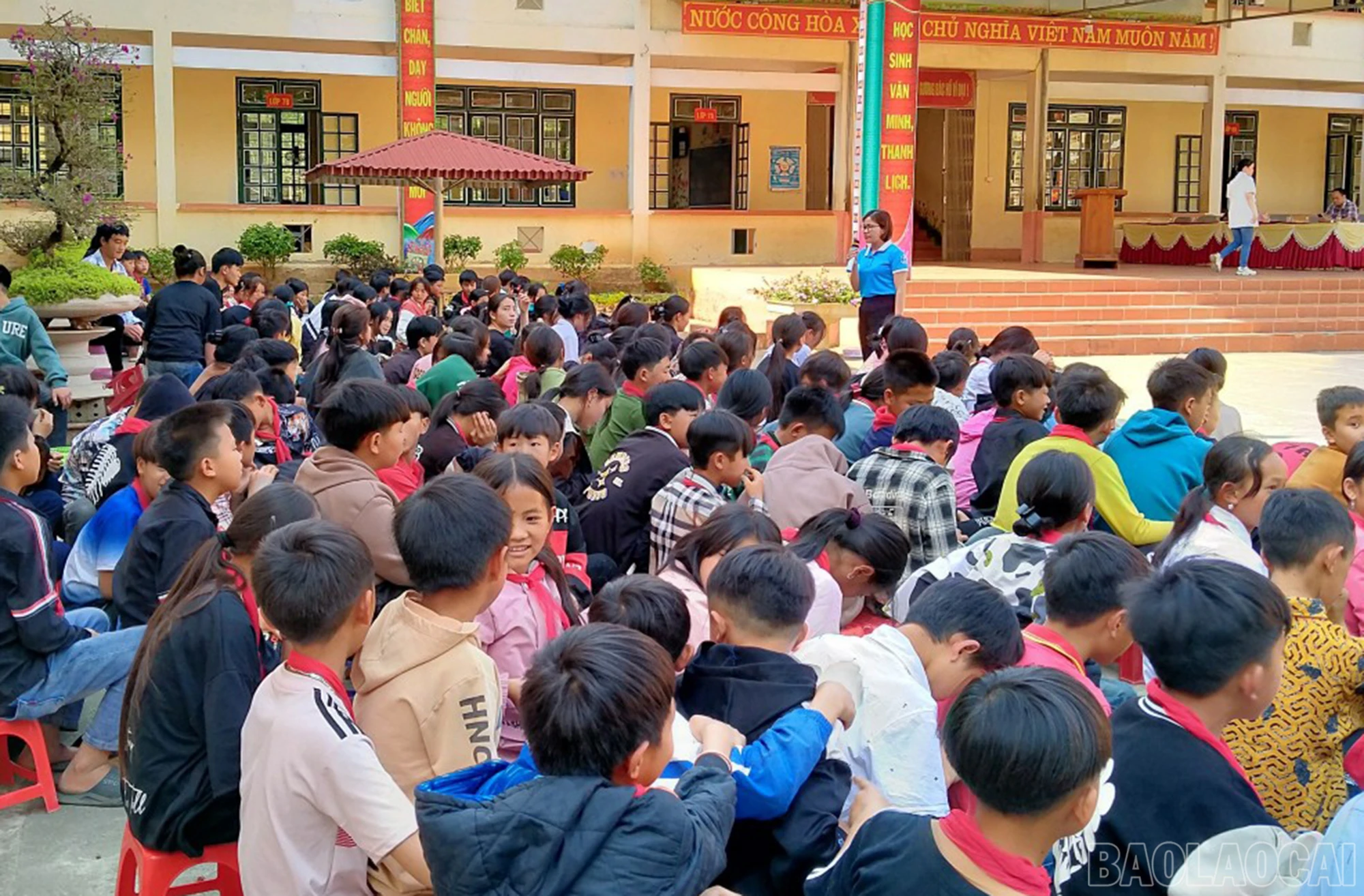 baolaocai_2.jpg