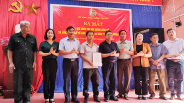 Hội Nông dân phường Lào Cai ra mắt Tổ Nông dân số và hỗ trợ cây giống cho hội viên