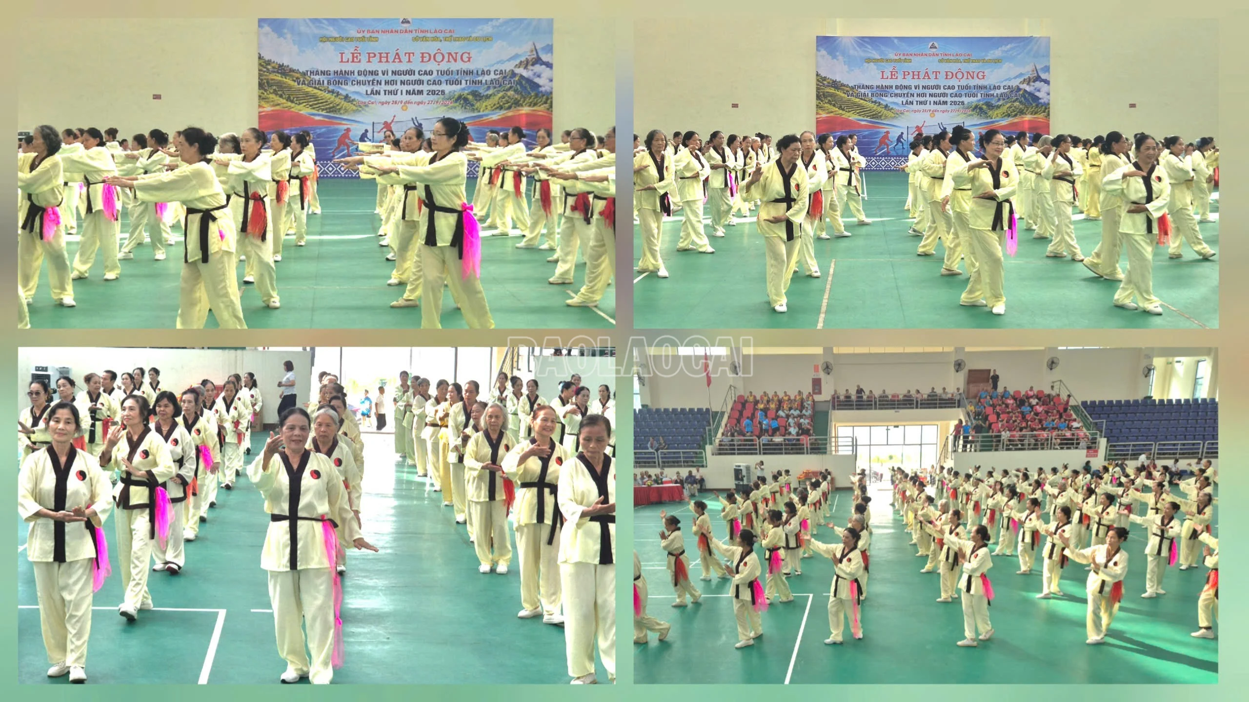 baolaocai-c_duong-sinh-ghep-2-2378.jpg