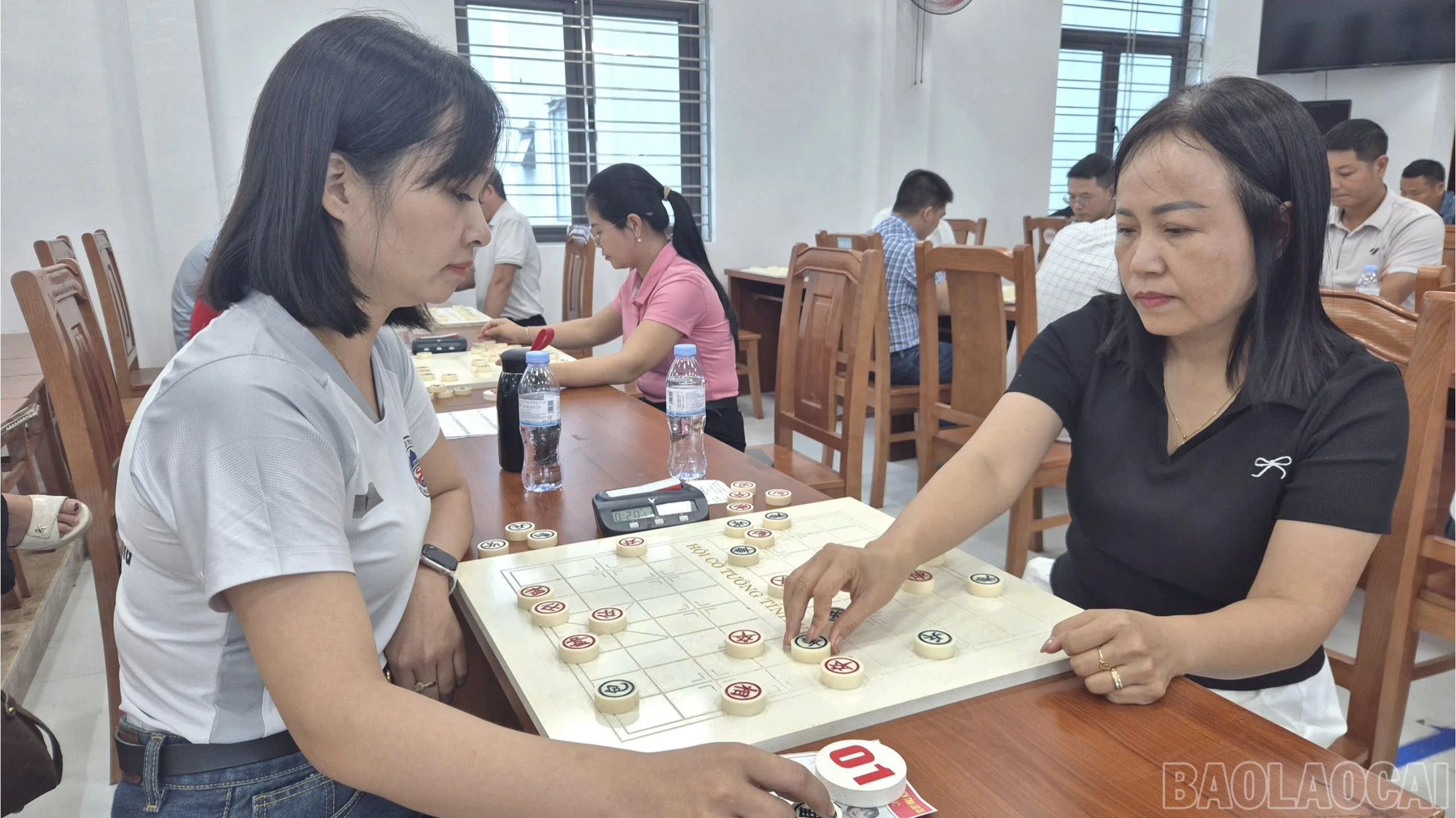 baolaocai-br_z8002037777066-f78d3ad023d1a59f5f15cd341b022a8c-4480.jpg