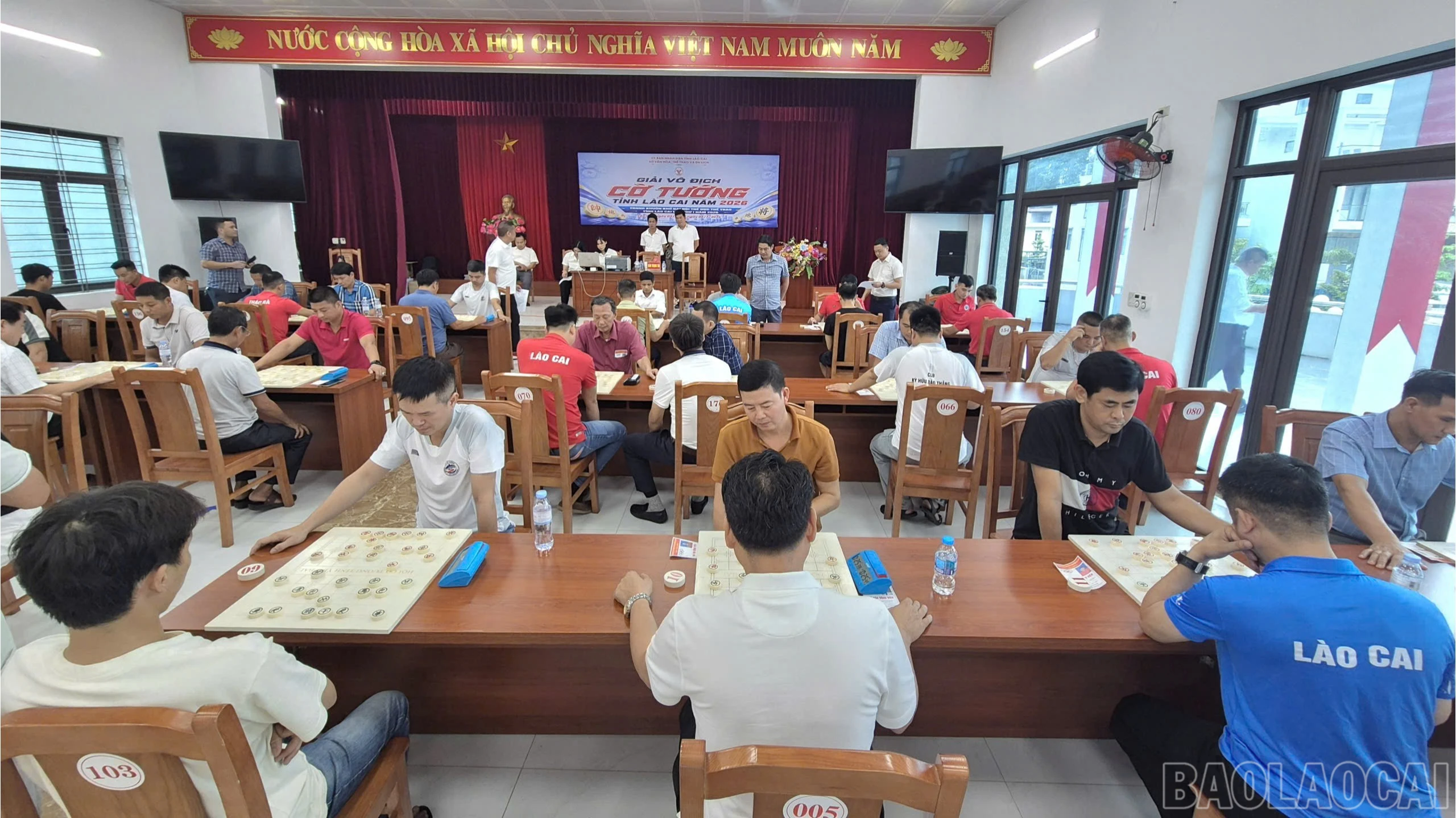 baolaocai-br_z8002026788662-0bdcbf08291ac55884b313d02142d80d-6521.jpg