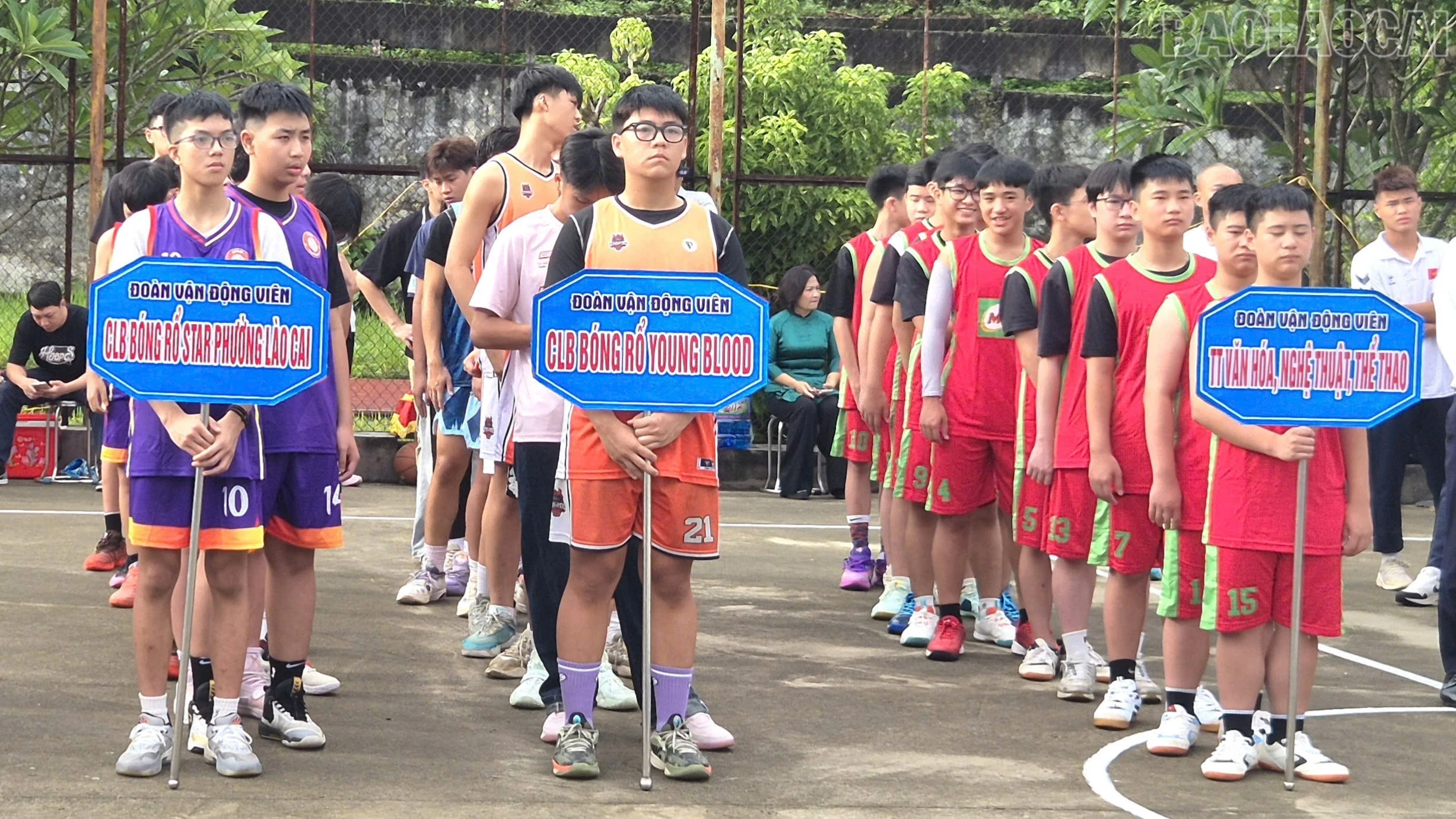 baolaocai-tr_1787880750175-1766308288443204543-5694511098469224762-fb0f16233f8646fe041ac24506f048b9-1990.jpg