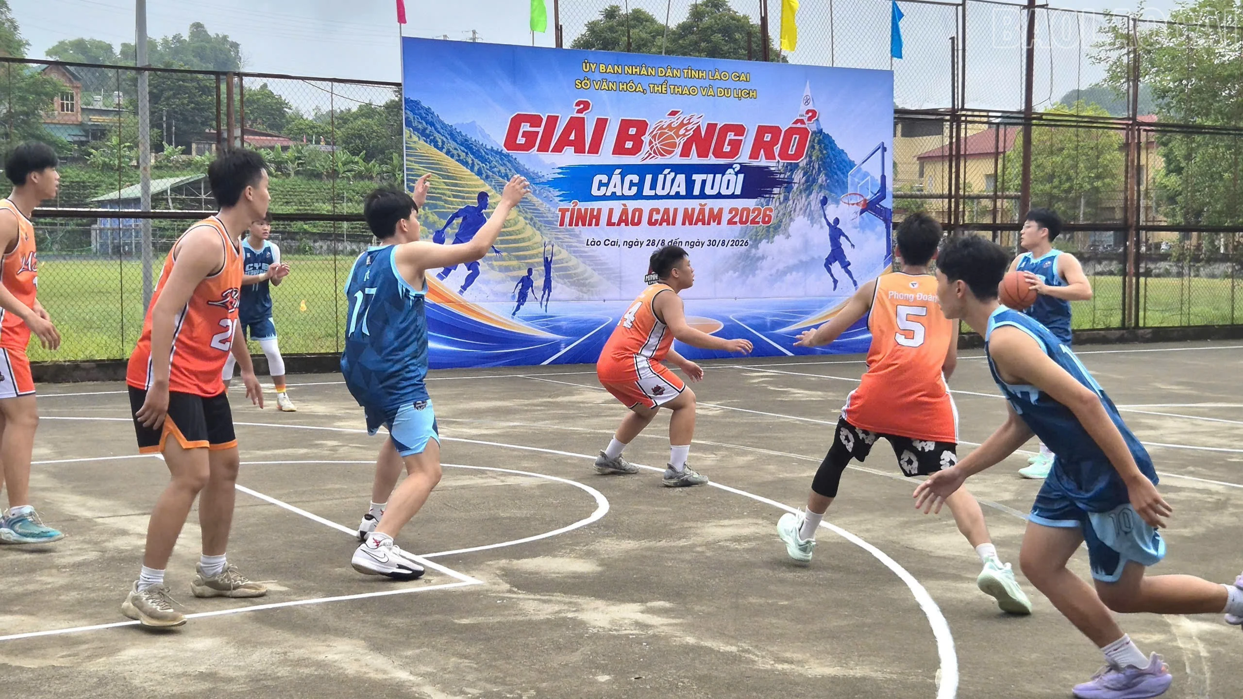 baolaocai-tr_1787881270043-1766308288443204543-5694511098469224762-52f97851d86433c49326e9955ef71b36-1675-8128.jpg