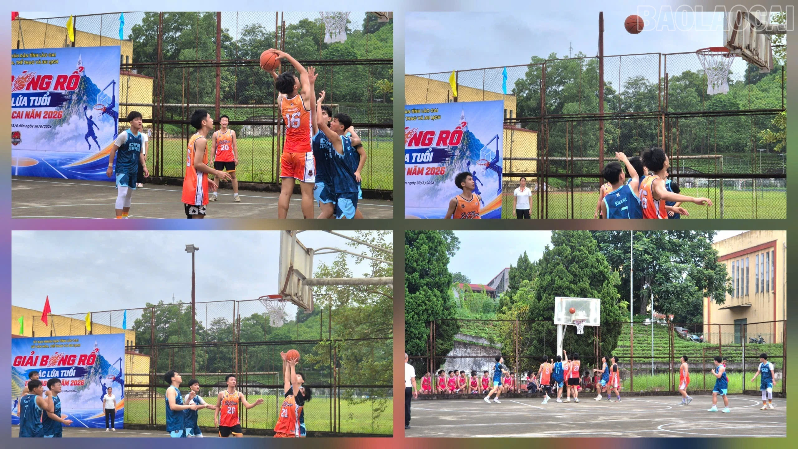 baolaocai-tr_1787882025414-1766308288443204543-5694511098469224762-f33b88e5f20d72736135c81c9f1a6632-5392.jpg