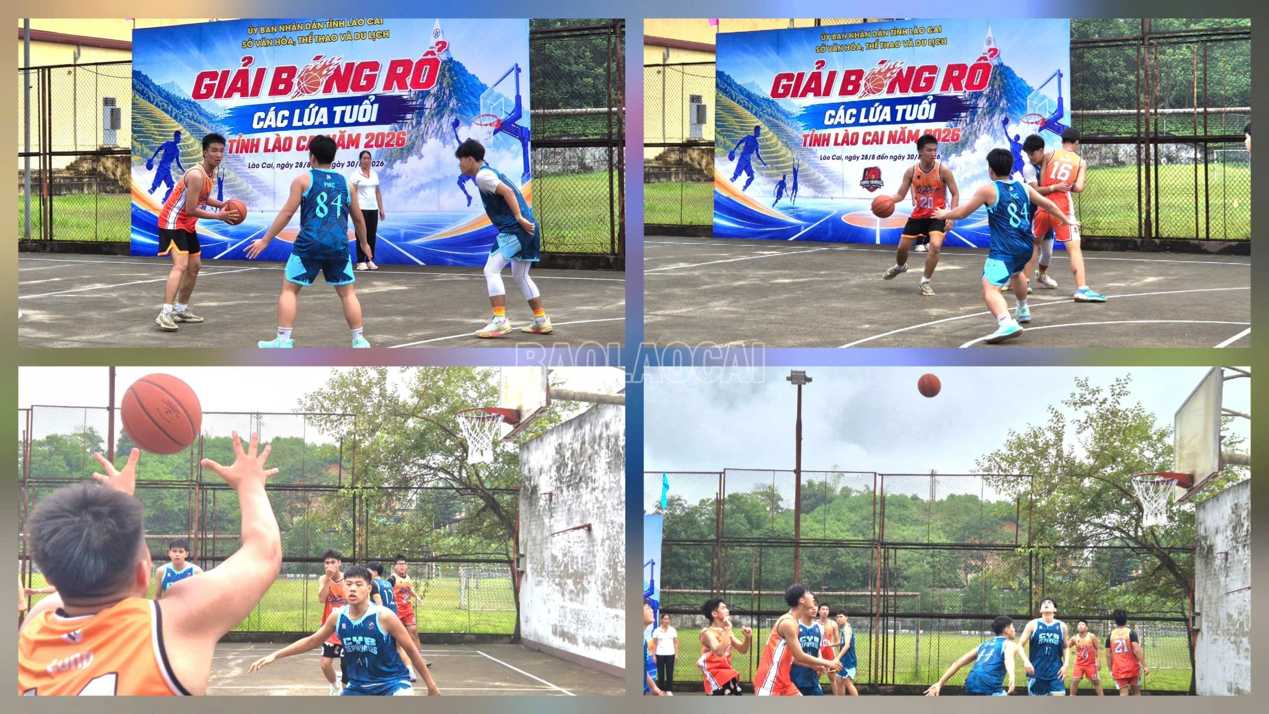 baolaocai-c_1787882032098-1766308288443204543-5694511098469224762-8c0ea0f485238ef0171e789f4cc62ca1-7039.jpg