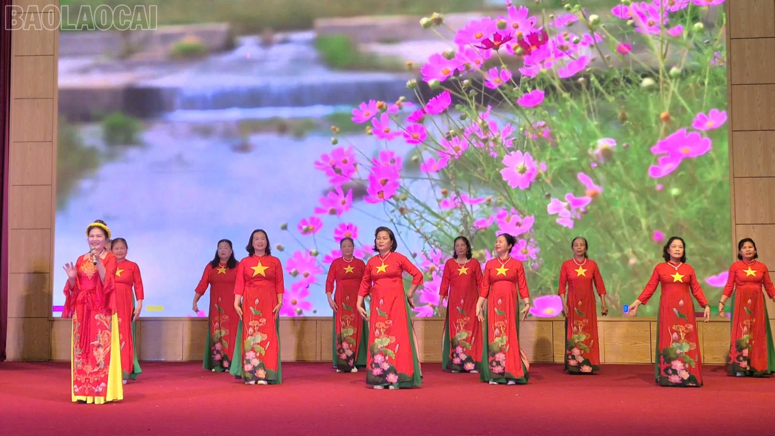 baolaocai-tl_bieu-dien-5281.jpg