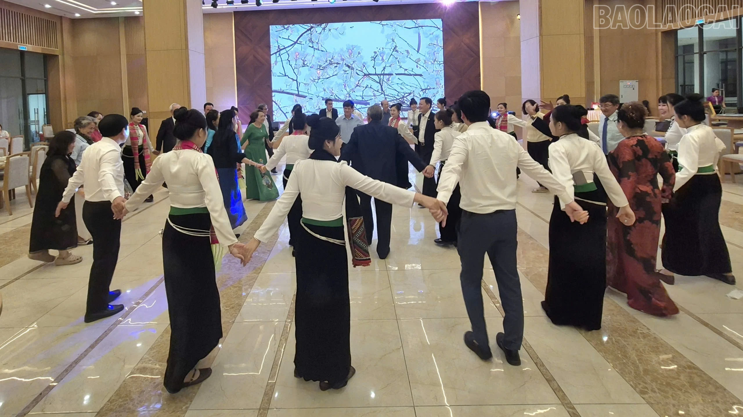 baolaocai-tr_1791206806213-1766308288443204543-5694511098469224762-99d19eedb0904049540bad65db50c2e7-4926.jpg