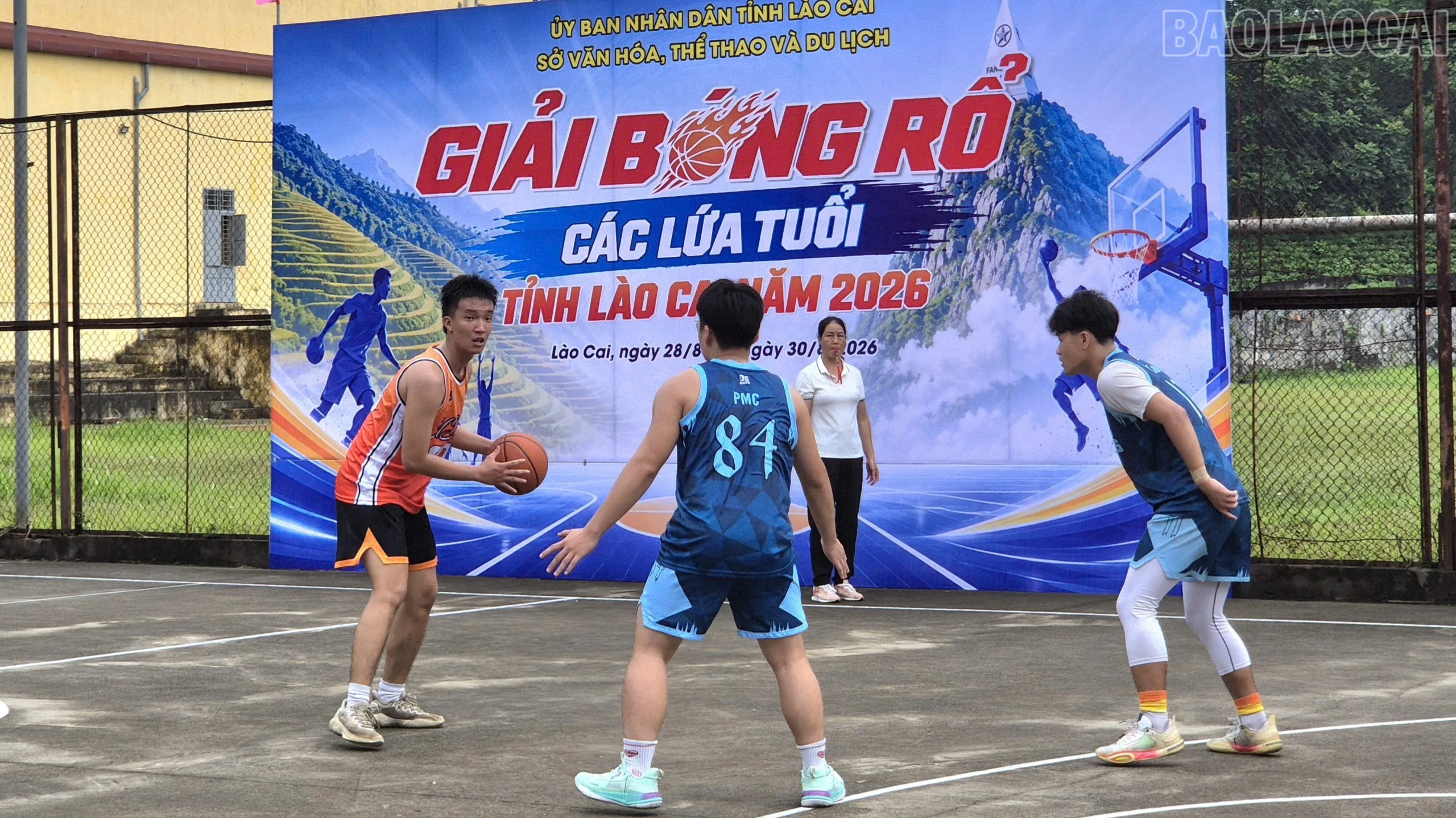 baolaocai-tr_1787996101794-1766308288443204543-5694511098469224762-003a63b5ff38a4ea78eed4a1c3d6866c-6429.jpg