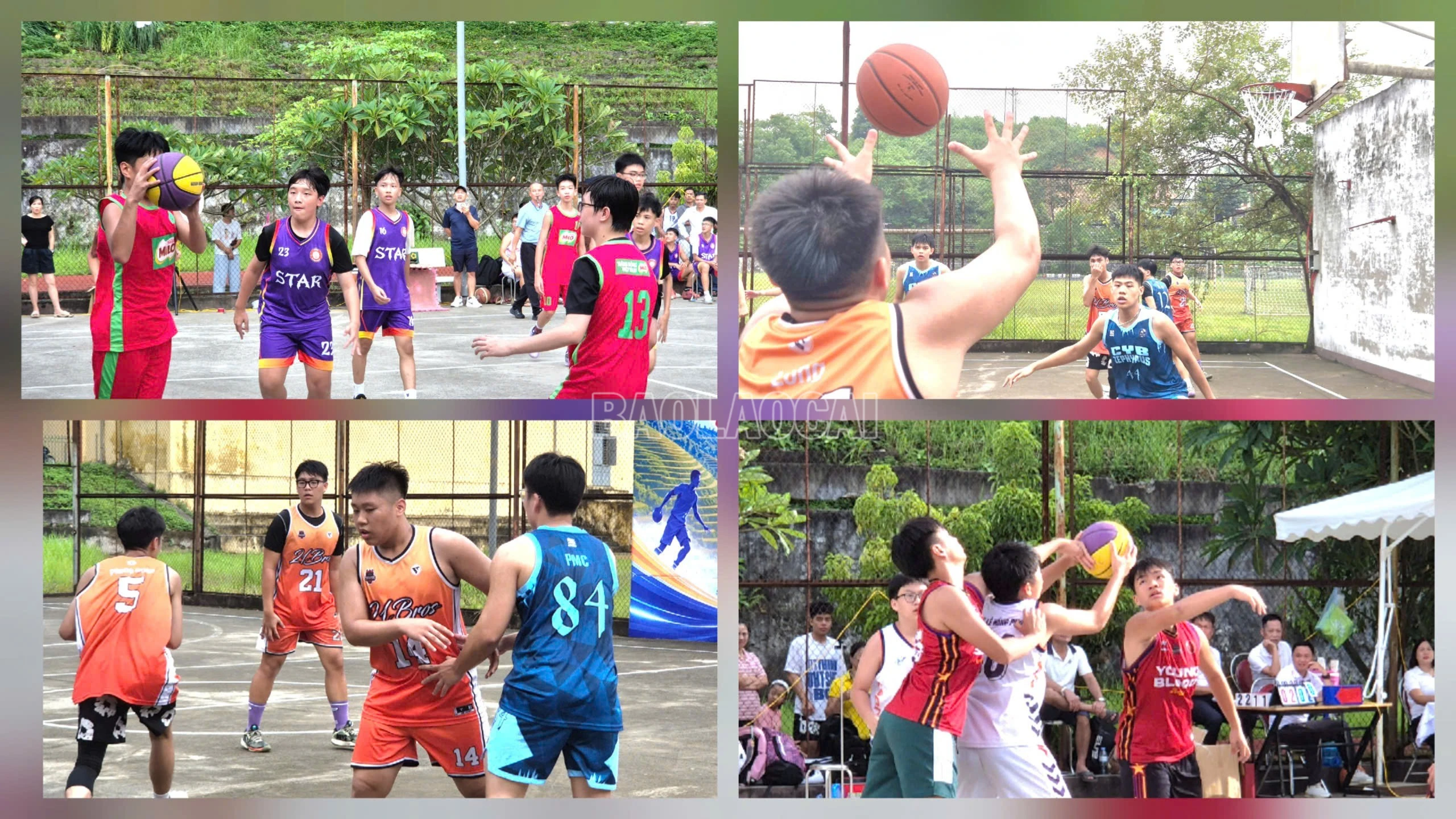 baolaocai-c_1787996710949-1766308288443204543-5694511098469224762-534e4661c86817f122a68b13bb82de3a-4209.jpg