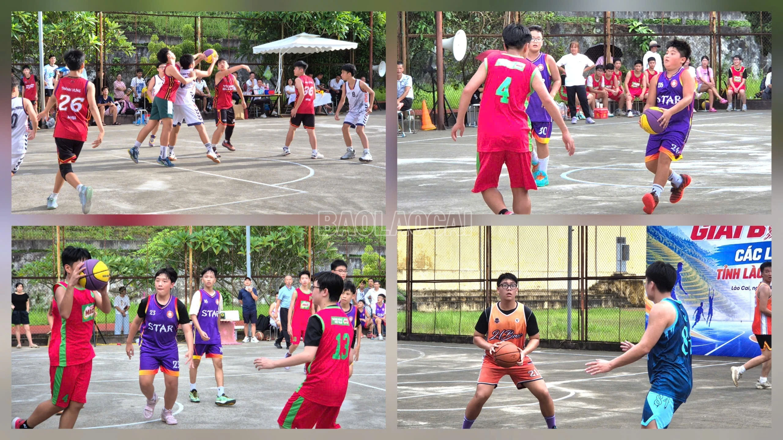 baolaocai-c_1787995770163-1766308288443204543-5694511098469224762-7017d4b8beb6703190b3d3b4832d3db8-4719.jpg