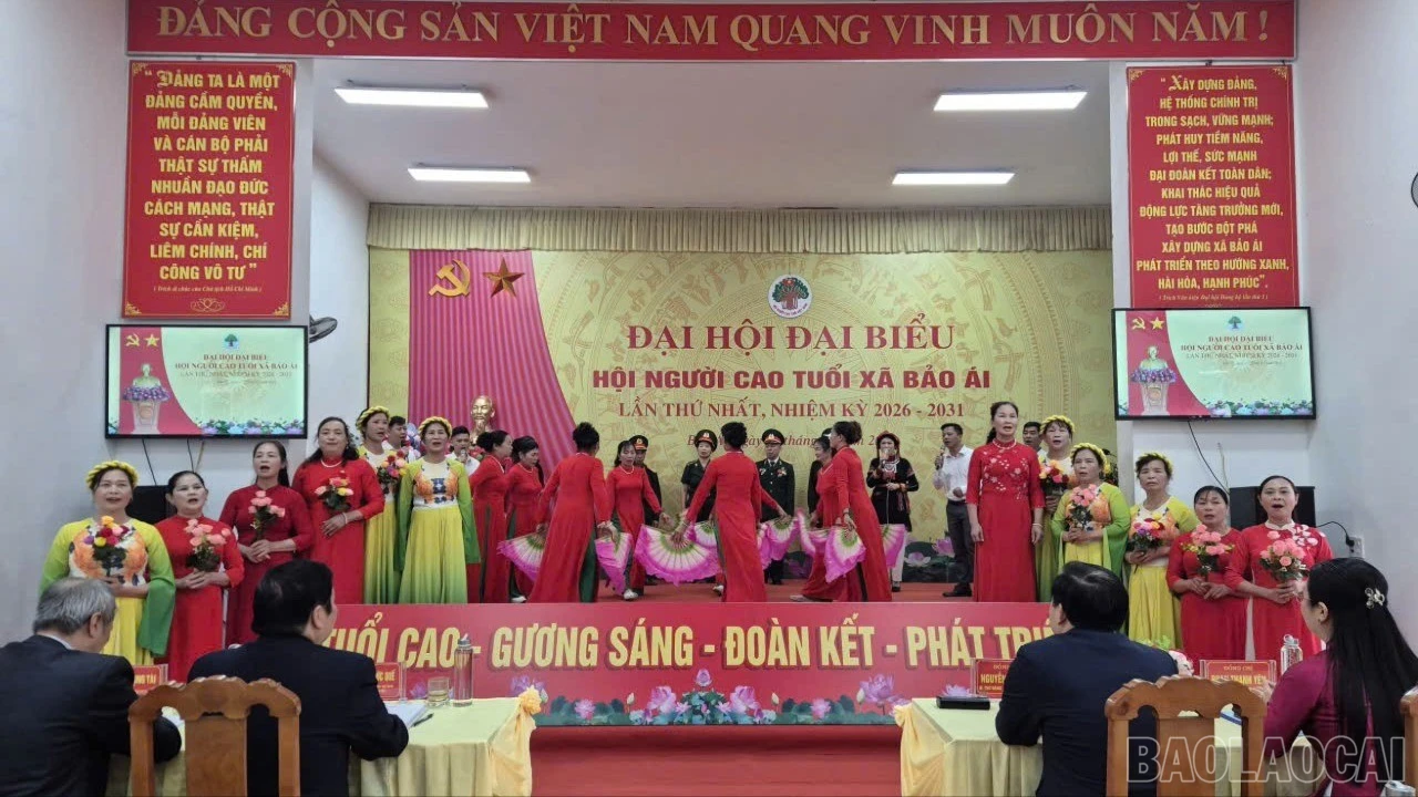 baolaocai-br_z7439047466084-e8a11c2c13c259ab7db3daff2784dbf5-5912.jpg