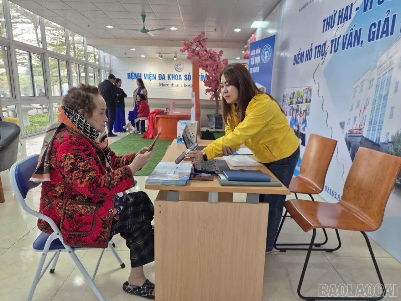 baolaocai-br_z7421839381902-9034fbba46b5bb60a1a49bf77001847a.jpg