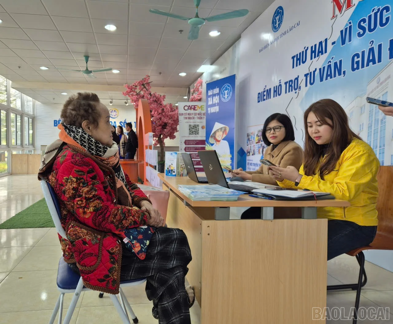 baolaocai-br_z7421836251808-ea95682efff4830514e3defc88c457ac.jpg