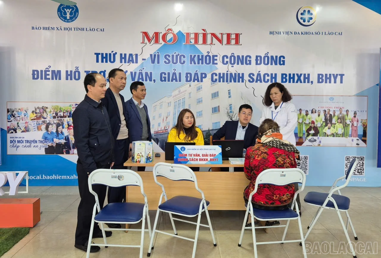 baolaocai-br_z7421854465335-ce6cf200c8edc7484b021aea59d71787.jpg