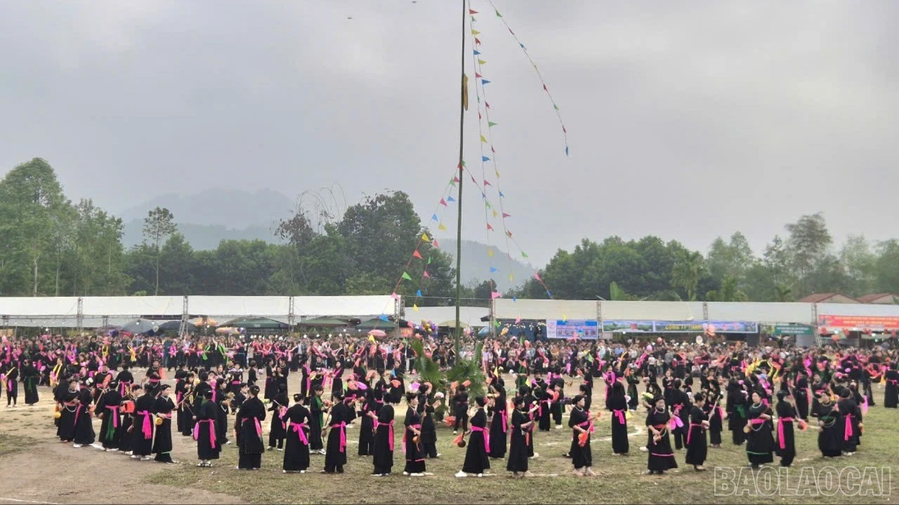 baolaocai-br_xoe-5966.jpg