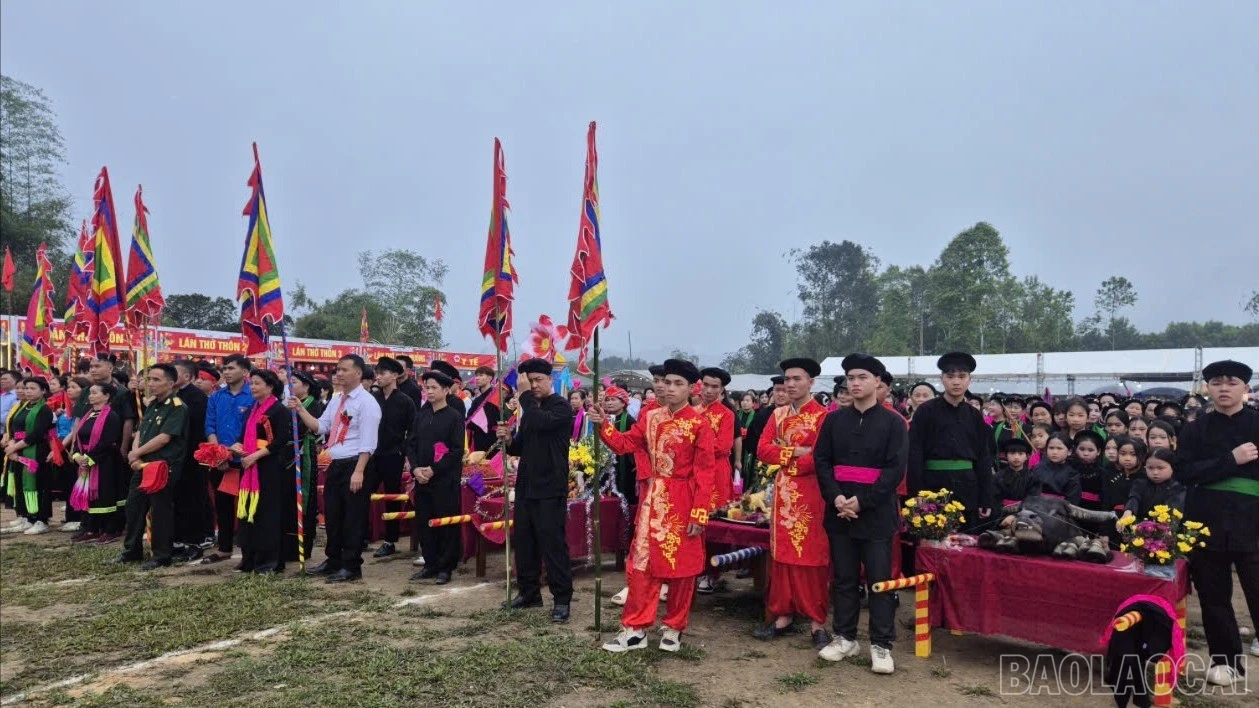 baolaocai-br_z7572616744923-29f73bb1b14d54cb35d1f490f340d509-1390.jpg