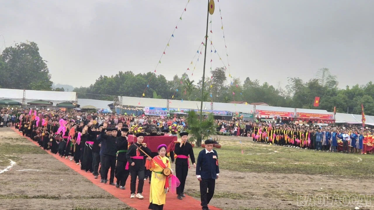 baolaocai-br_z7573314360994-443031d0d1f96a35073acc9d0e5270ca-2964.jpg