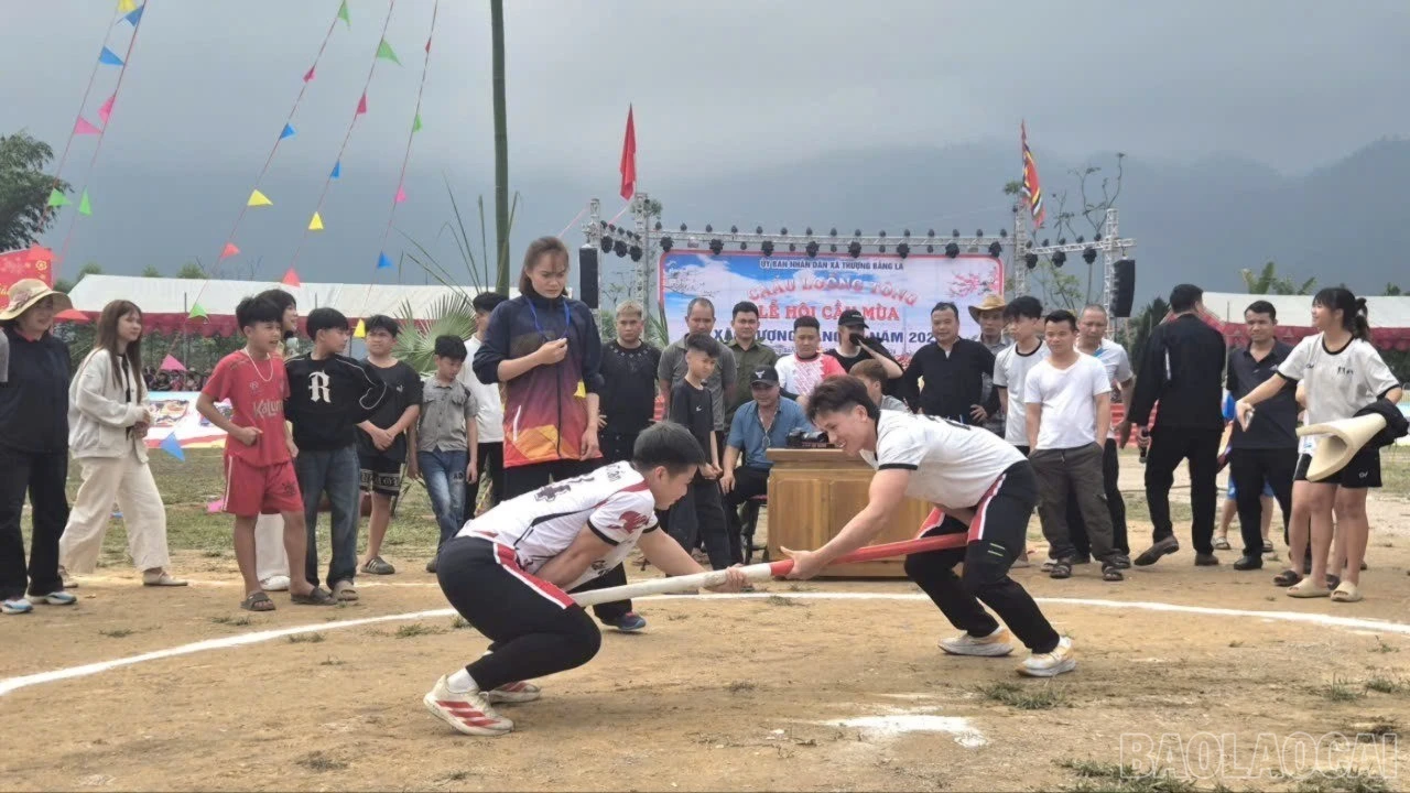 baolaocai-br_z7573220585333-9268fbdccfed2647147ce5a4eeef2e44-8019-600.jpg